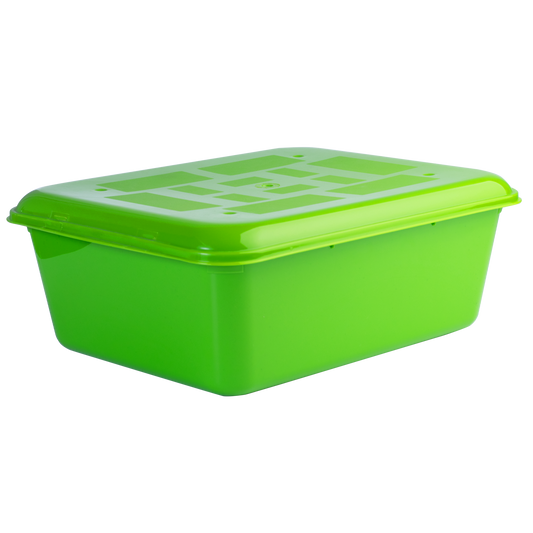 Recipiente Rectangular Color Con Tapa